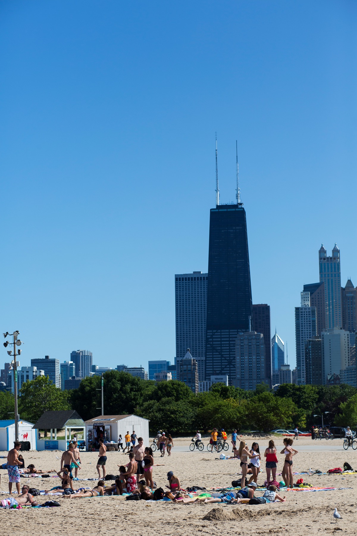 North Avenue Beach Summer