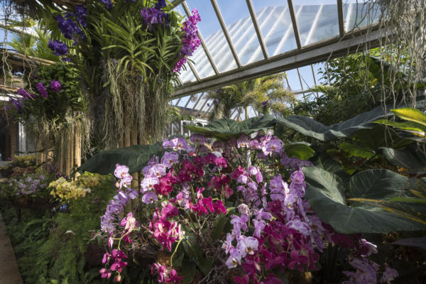 13 things to do for Valentine’s Day in Chicago