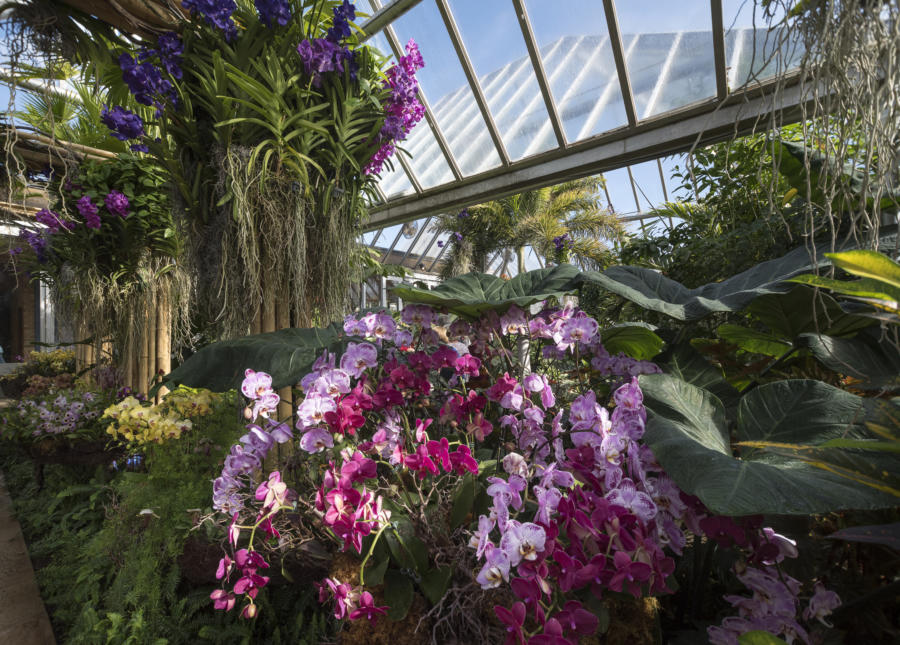 Celebrate Spring At Chicago S Best Flower And Garden Shows