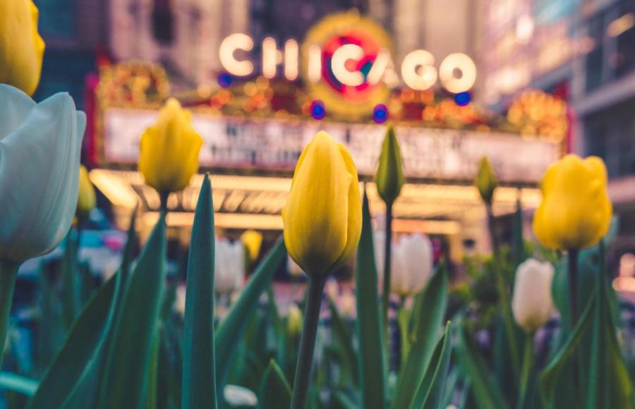 Chicago Theatre spring