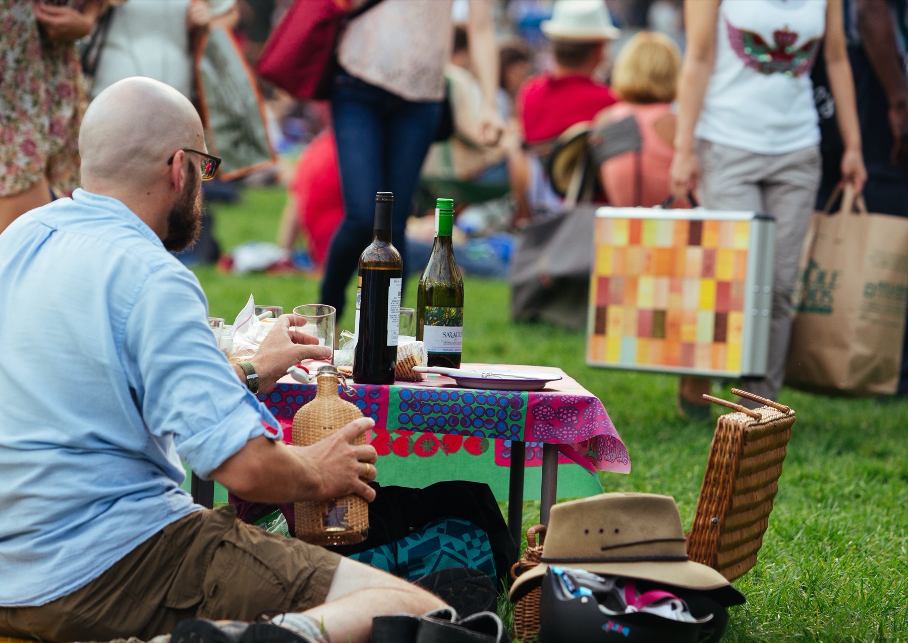 Picnic in Millennium Park Chicago