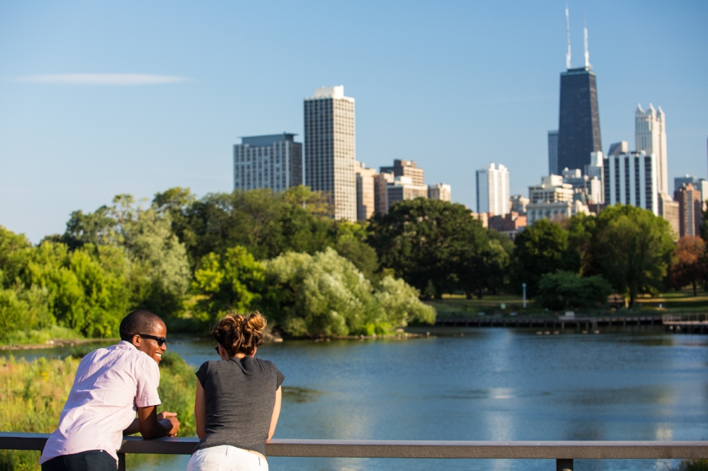 Chicago Skyline at Lincoln Park Zoo