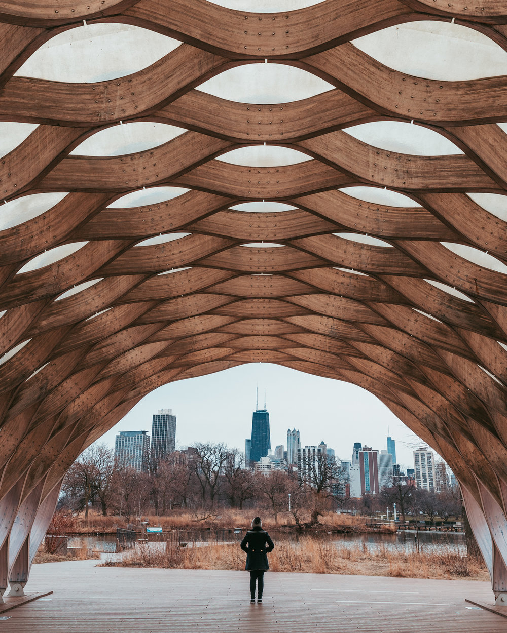 View from Nature Boardwalk