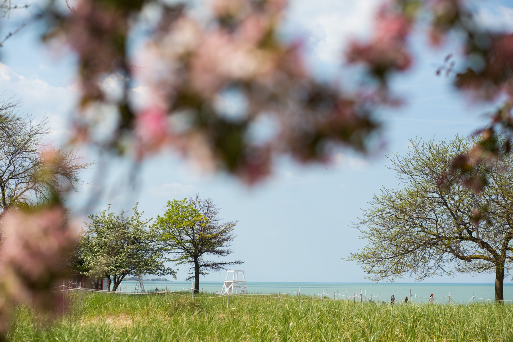 Chicago Lakefront