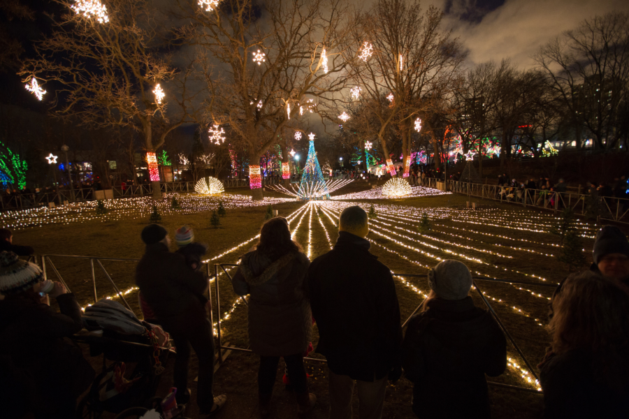 ZooLights at Lincoln Park Zoo