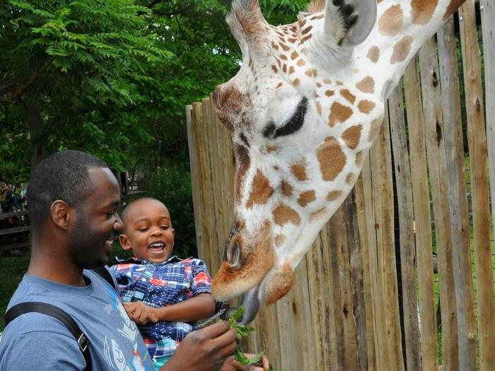 Free, family-friendly fun is on deck at Play Ball Park during the