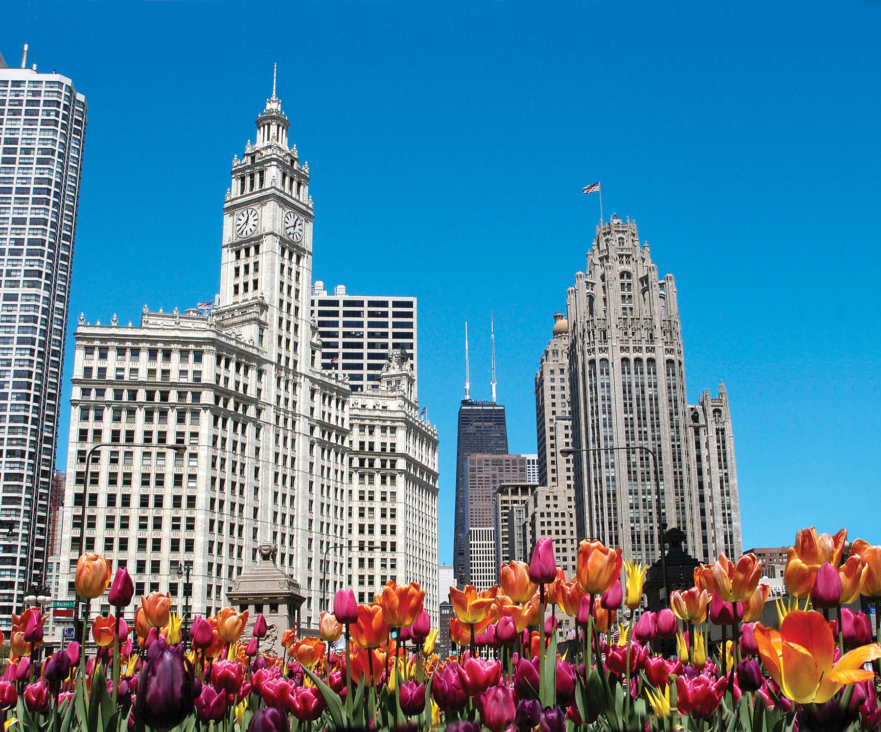 chicago architecture tour buildings