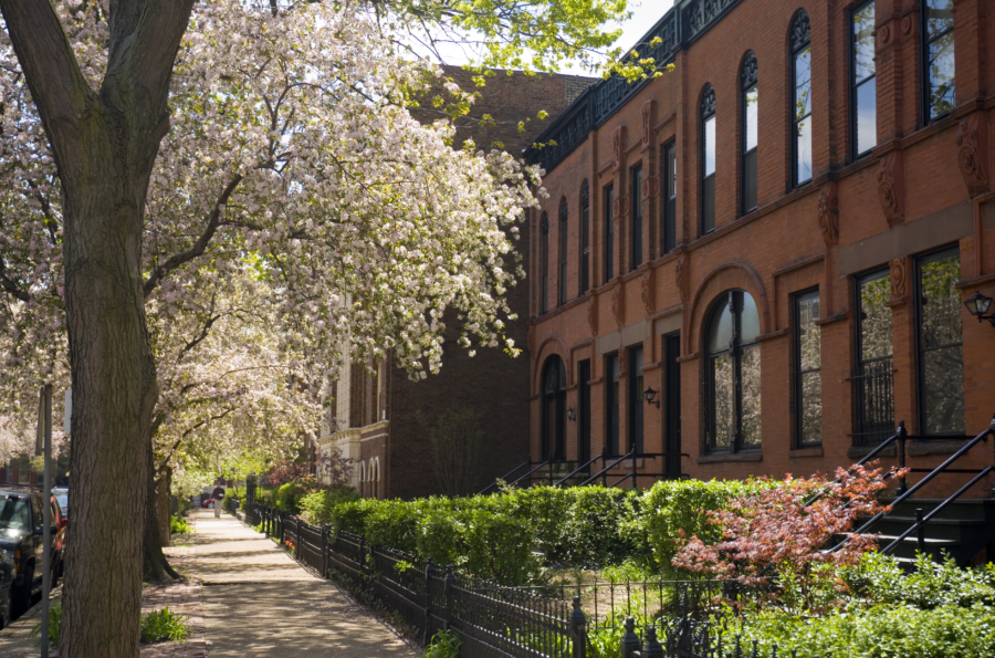 Old Town in the Spring