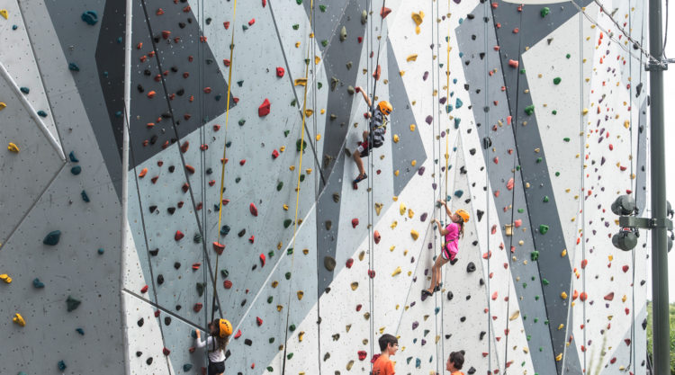 Watch your kids climb all the way to the top at Maggie Daley Park