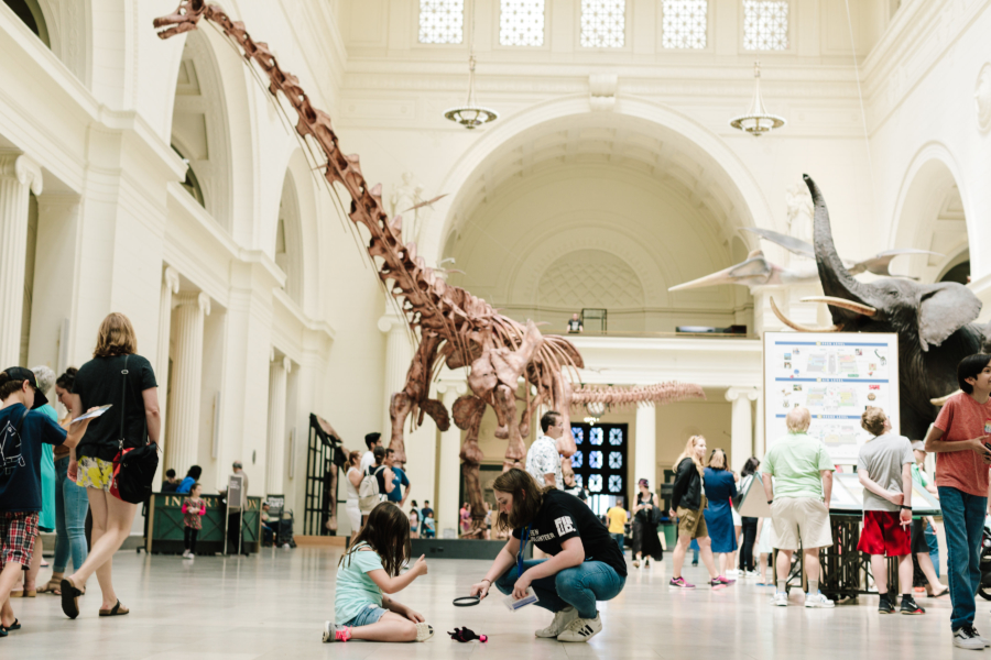 field museum floor plan