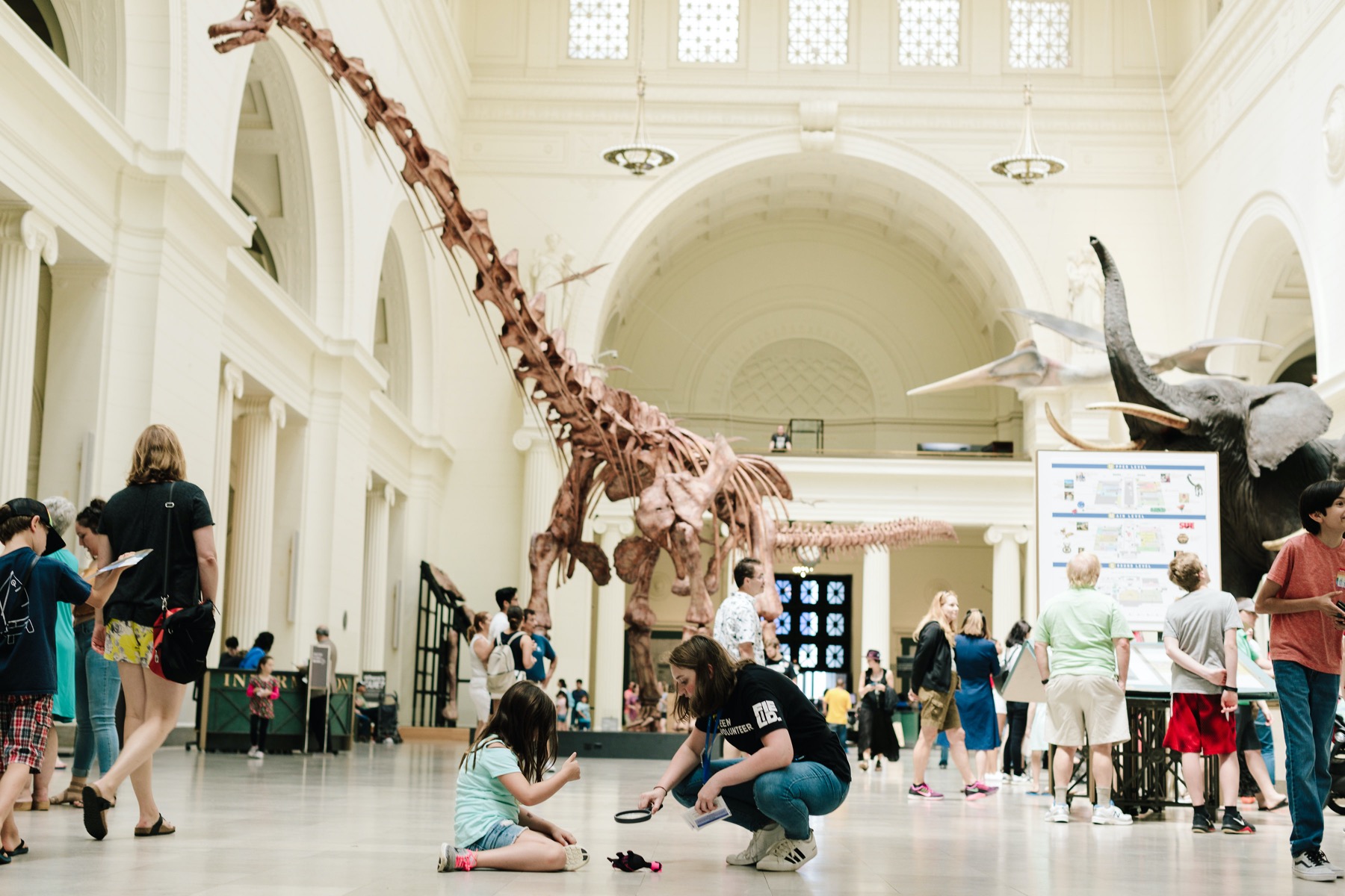 Big things are happening at Chicago’s Field Museum of Natural History