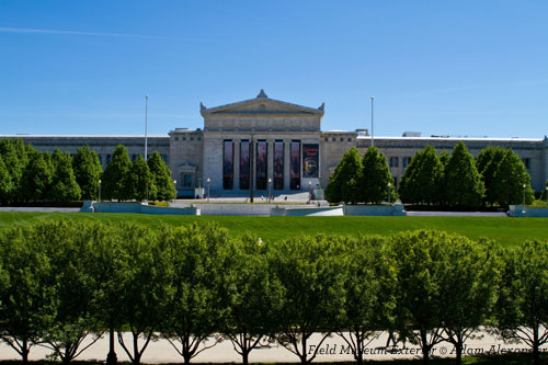 Field_Musuem_Exterior_1151fbb8-1e23-48b8-85a1-83e9ba7131cf