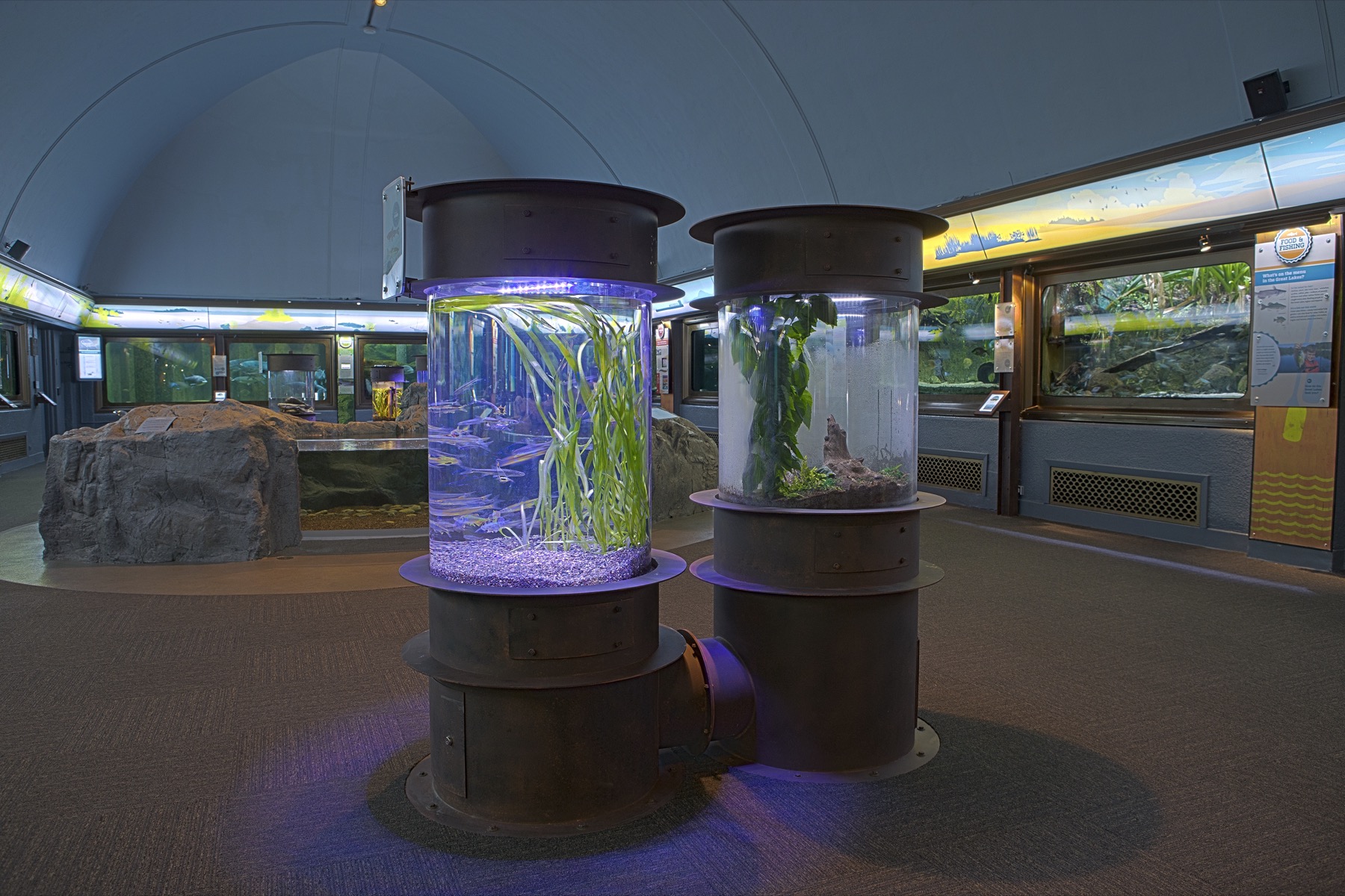Great Lakes exhibit at Shedd Aquarium