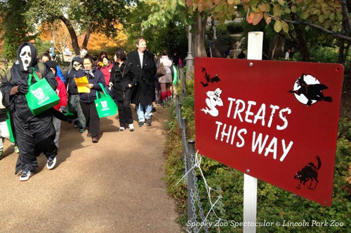 Halloween_Chicago_Spooky_Zoo_Spectacular_9aa61f4e-42b8-4e8b-8ccf-e62c6dcbcee3