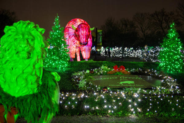 Best Spots for Christmas Lights in Chicago | Holiday Displays & Events