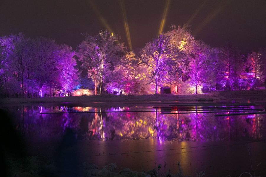 Trees lit up at Morton Arboretum