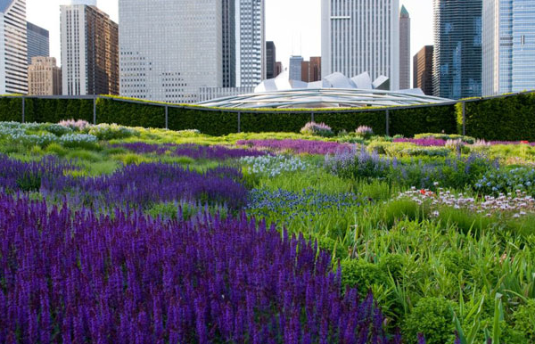 7 unique Chicago picnic spots