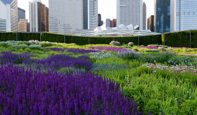 Lurie - Garden Shot - Article