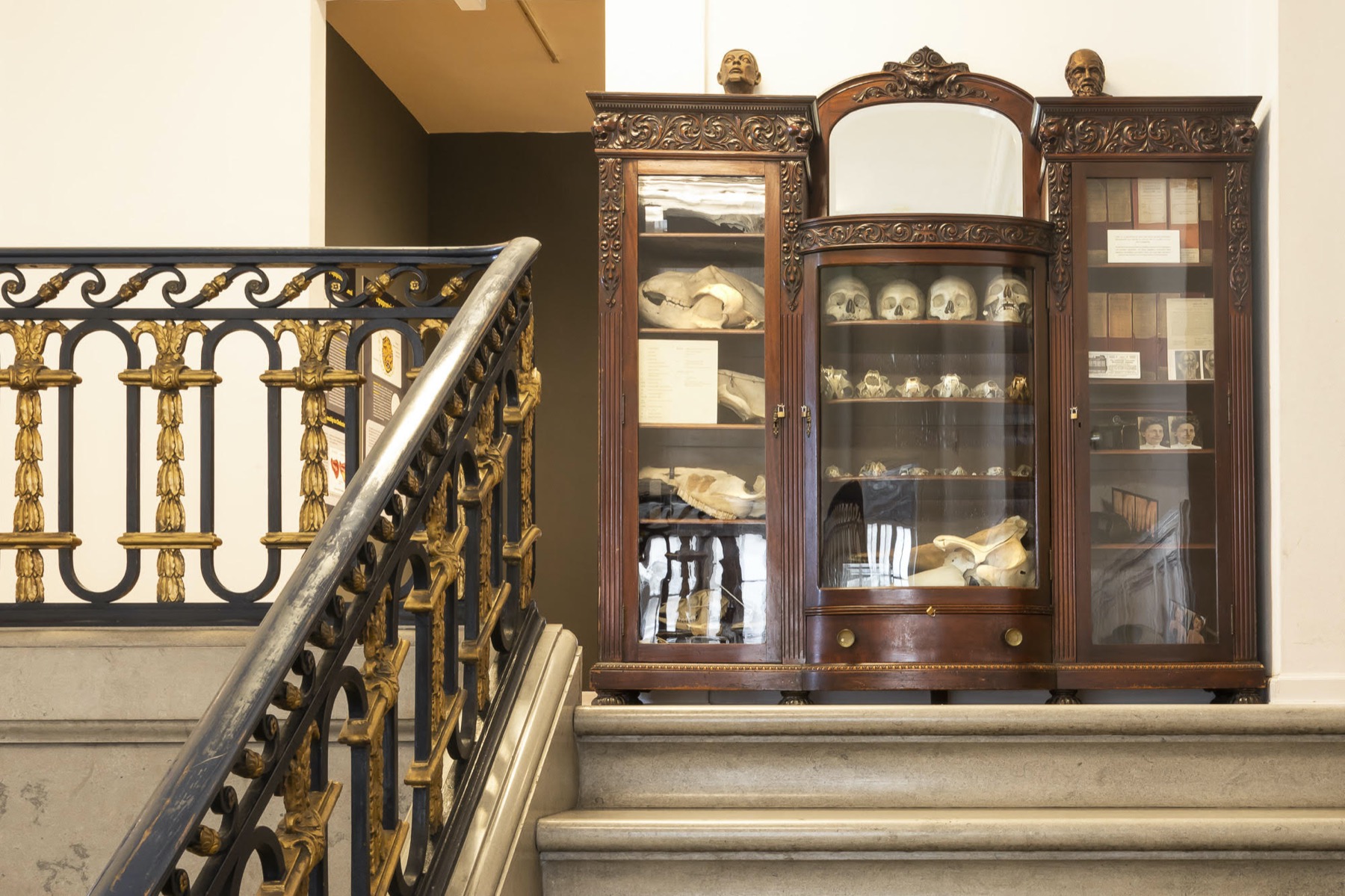 Inside the Museum of Surgical Science