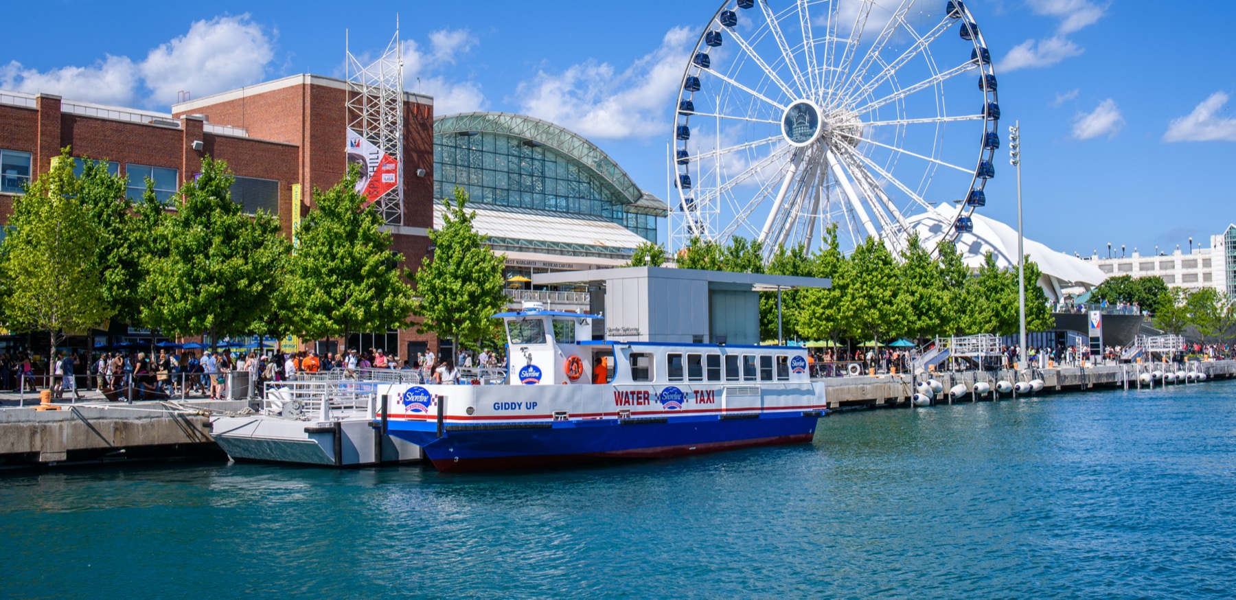 navy pier ferris wheel drawing