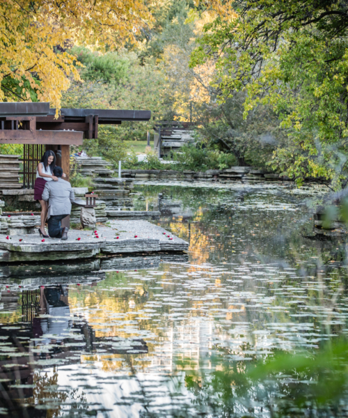 5 romantic spots to propose in Chicago