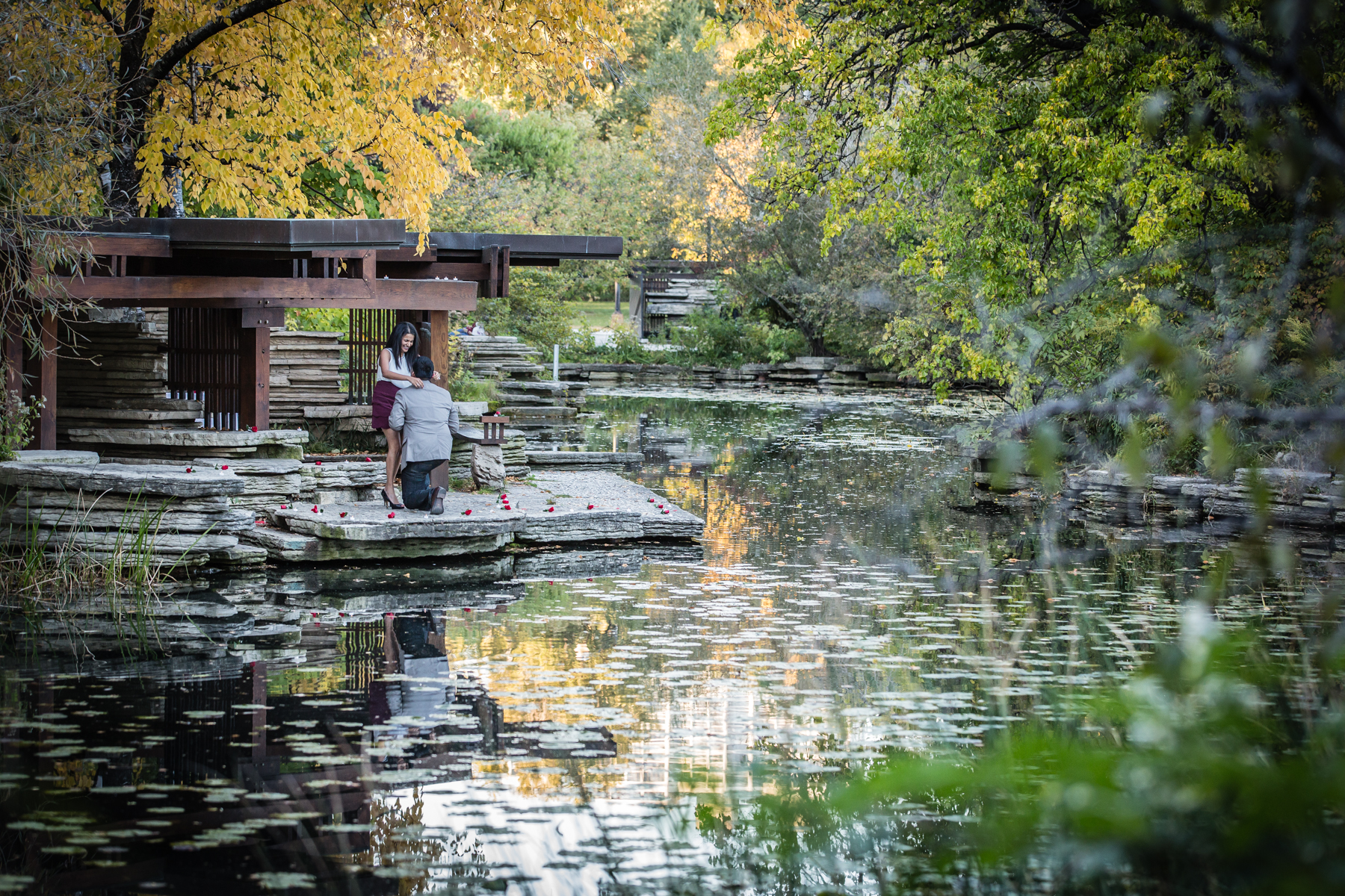 Alfred Caldwell Lily Pool Engagement