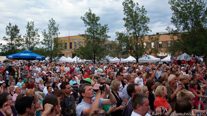 Crowd at Taste of Polonia festival