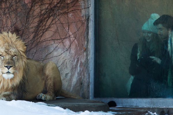 chicago-zoos
