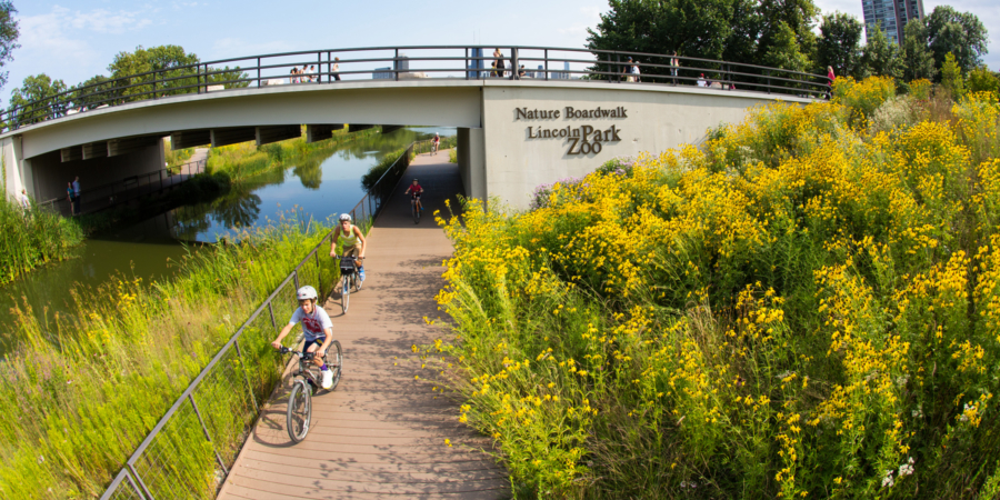 Lincoln Park Zoo Nature Boardwalk