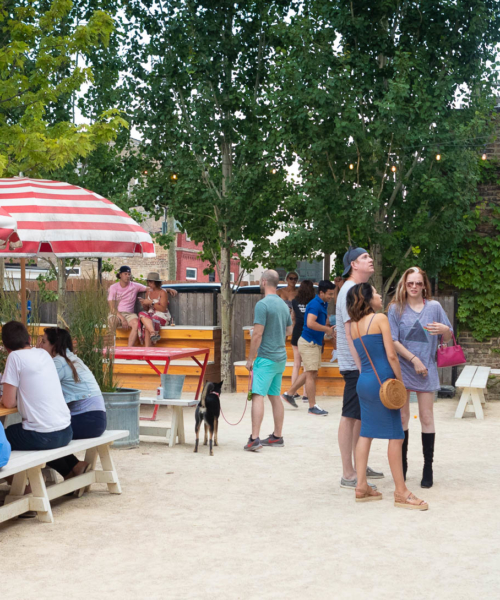 Chicago Visitors Guide 