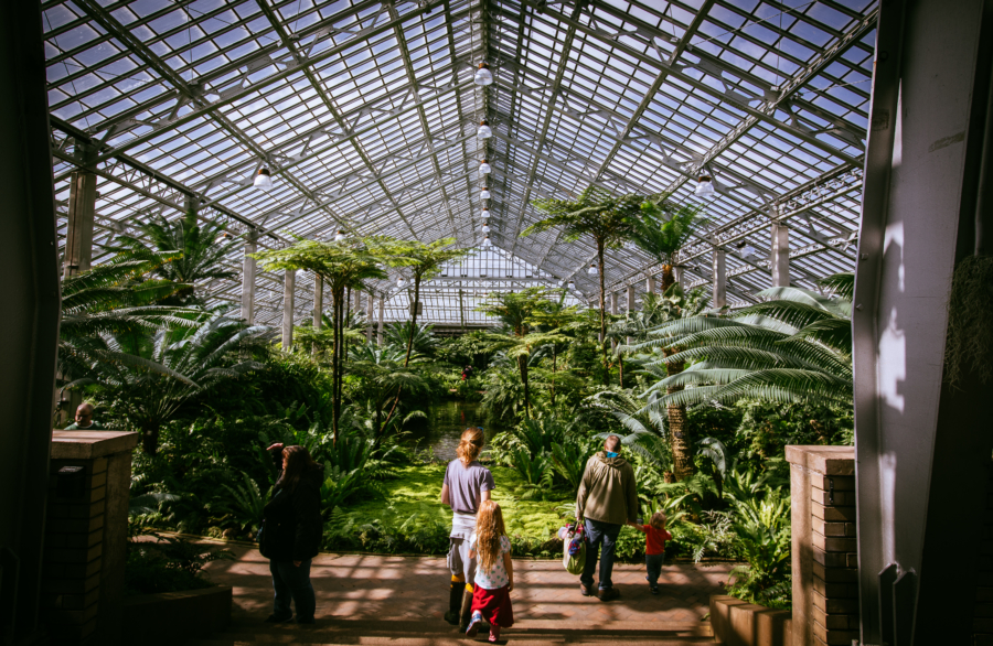  Salle des fougères du conservatoire de Garfield Park 