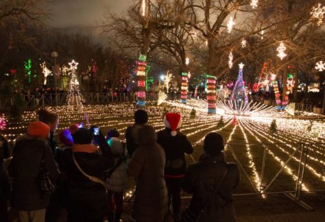 Top Chicago Holiday Tours | Christmas Lights Tours & Dinner Cruises