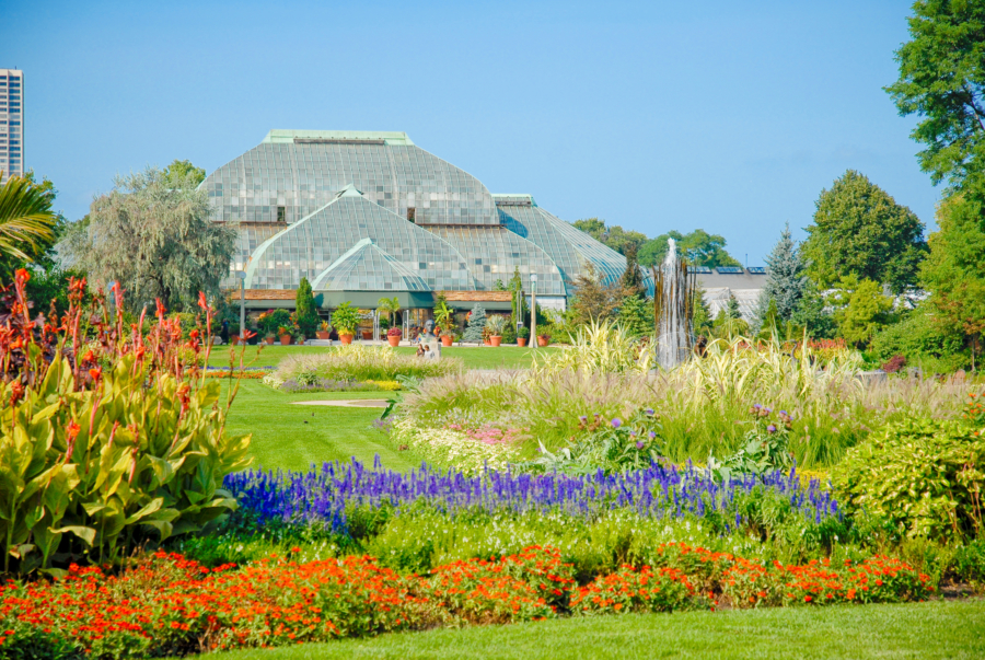 Chicago Conservatories  Lincoln Park & Garfield Park Greenhouses