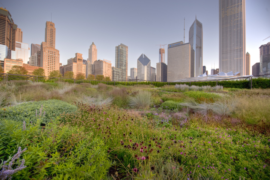 Millennium Park Lurie Garden