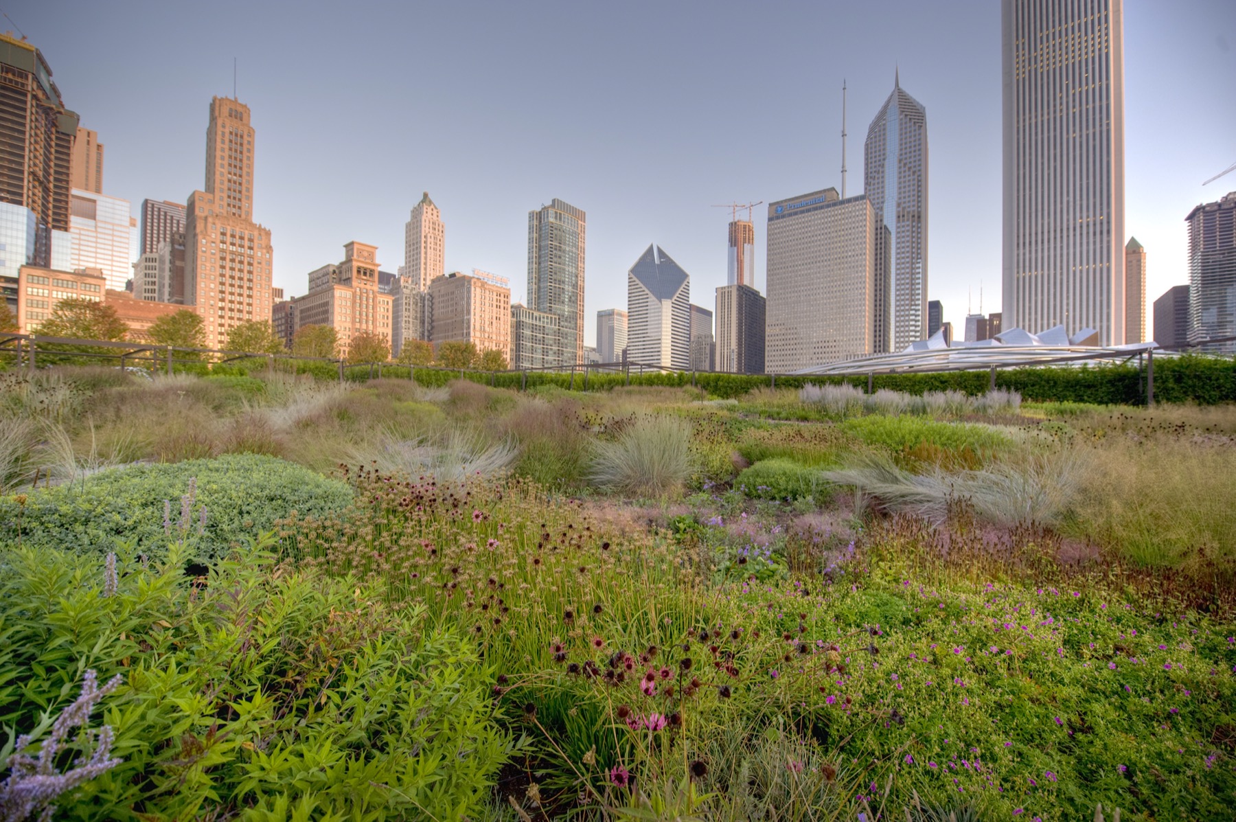 Chicago Summer