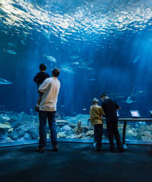 Things to do Near McCormick Place
