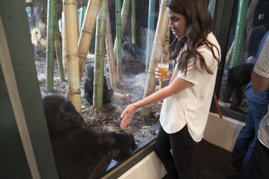 craft beer event at zoo