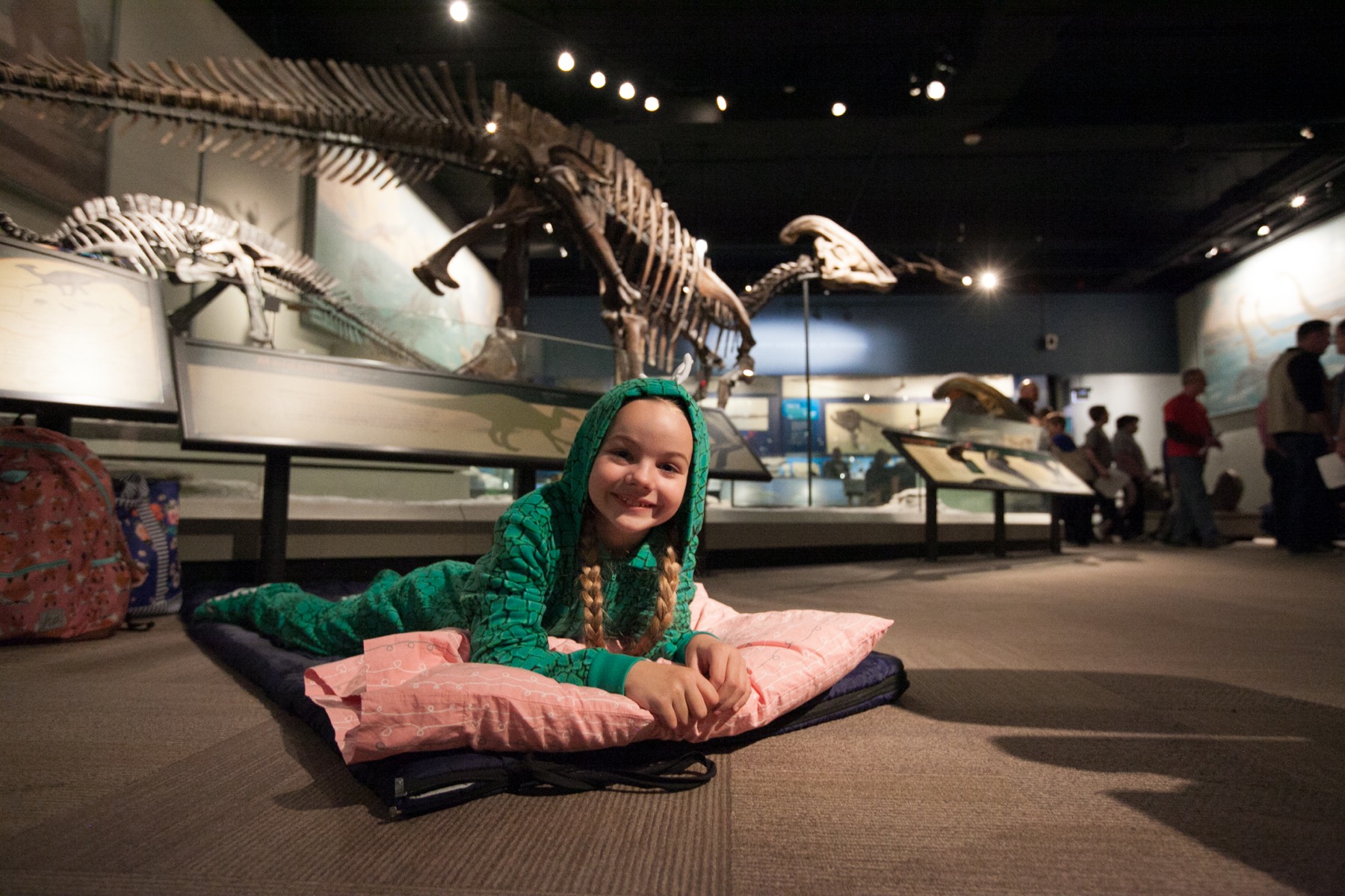 Field Museum - Dozin with the Dinos