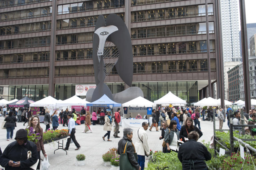 Chicago farmers market