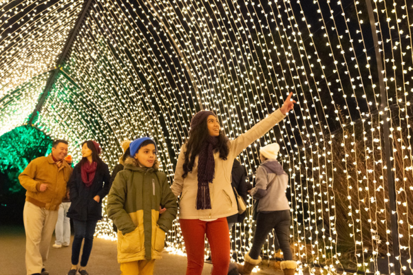 Top spots in Chicago for holiday lights