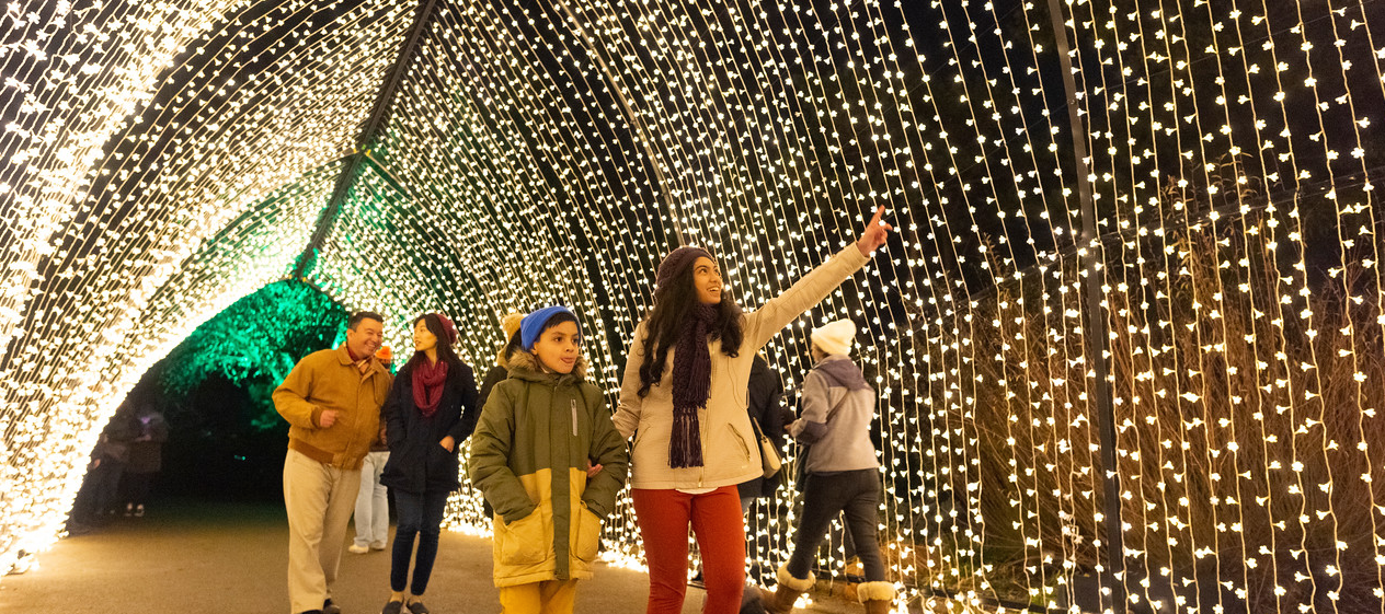 Best Spots for Christmas Lights in Chicago