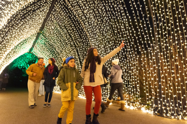 40+ things to do in Chicago this November 2025