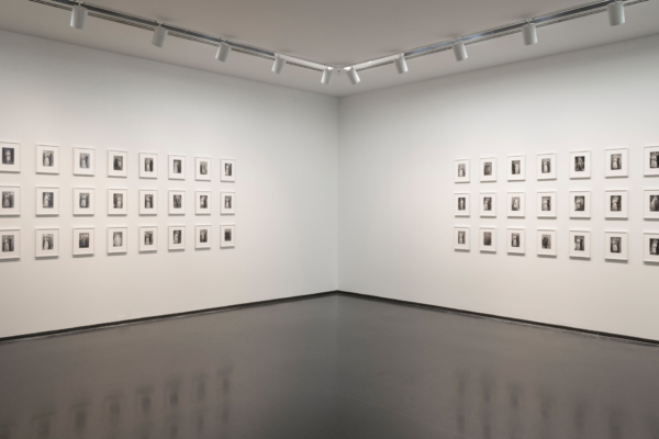 See cutting-edge exhibits at Chicago’s Museum of Contemporary Art