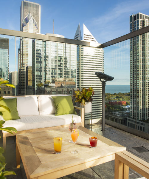 Chicago skyline view from ROOF on theWit
