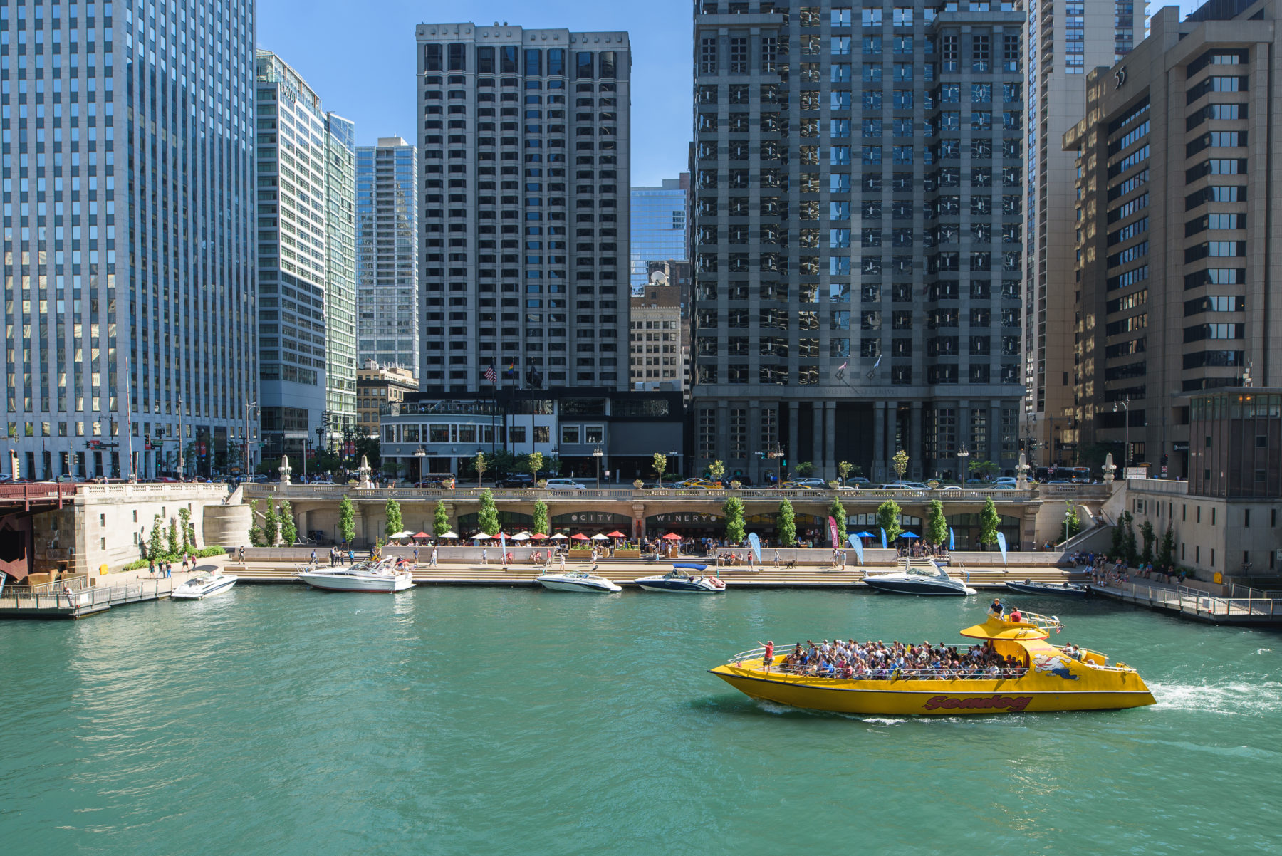 chicago river cruise near me
