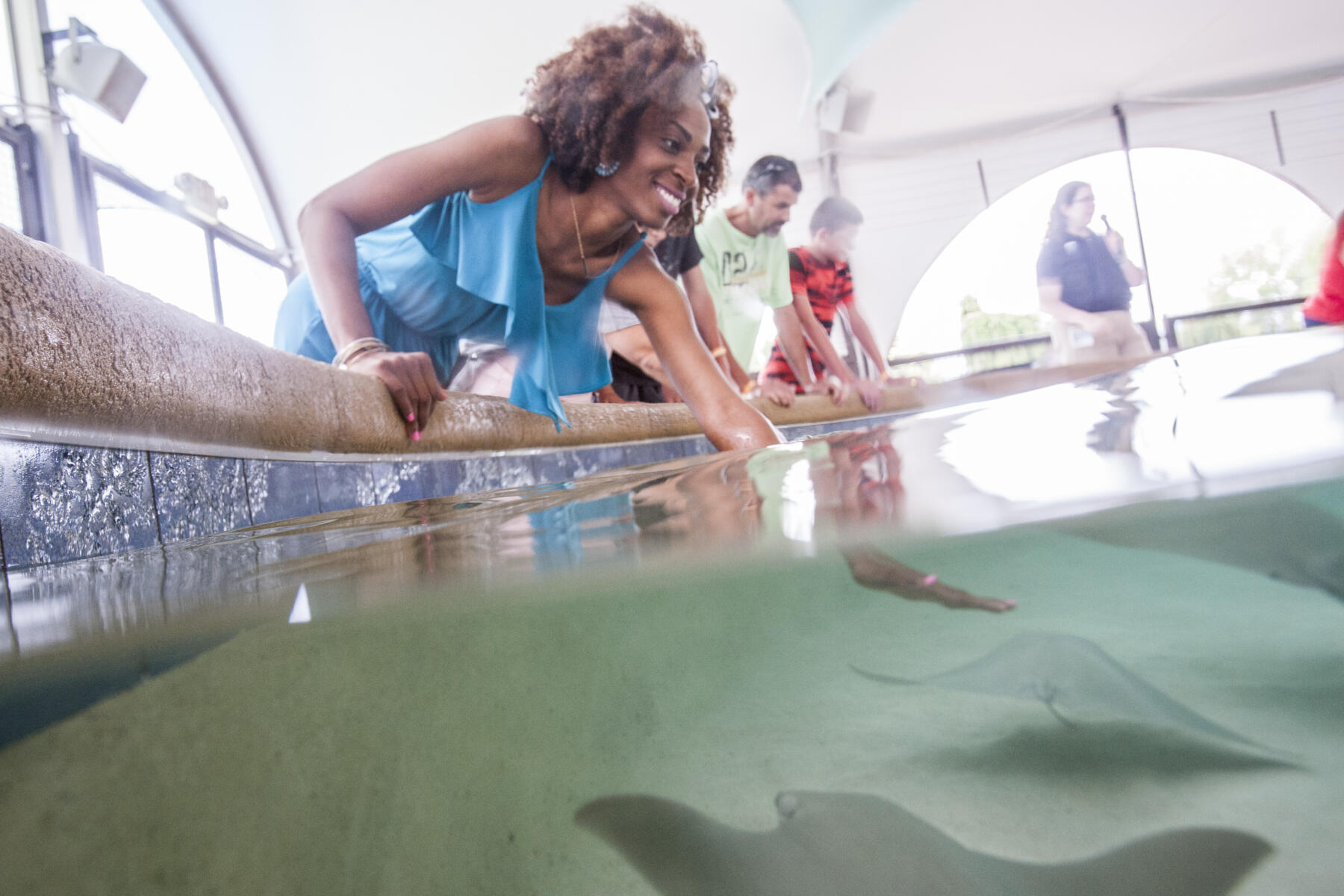 A woman at the Stingray Touch at the Shedd Aquarium