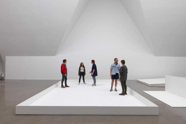 _The_Renaissance_Society_4824ccbe-ba12-4335-aa8e-e3ca001cc90e