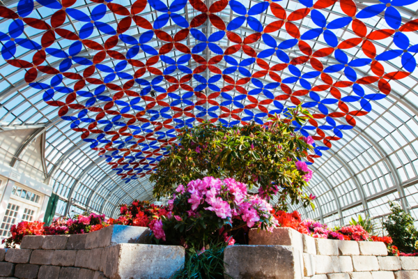 chicago conservatories