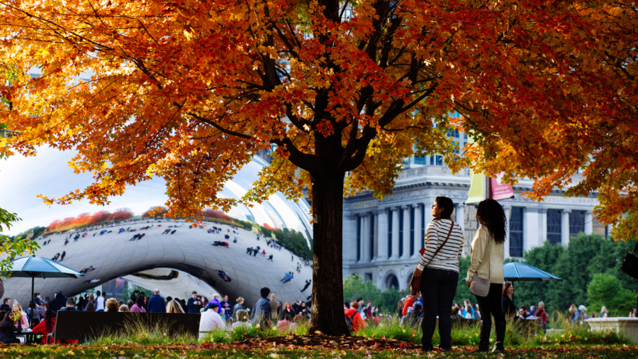Fall in Chicago