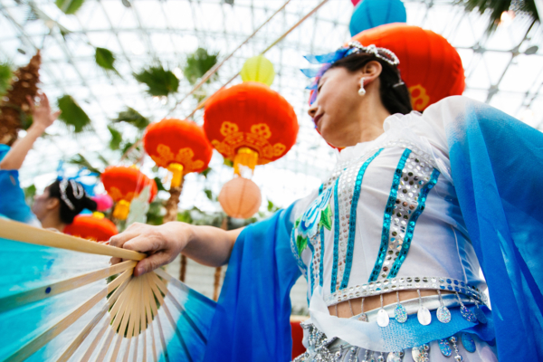 Chinese Lantern Event